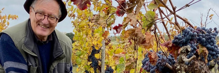 Souvenirs des Vendanges